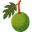Fruit & Produce