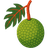 Fruit & Produce