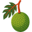 Fruit & Produce
