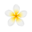 Tahiti Buy & Sell